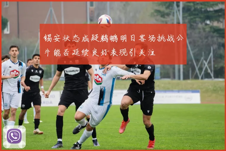 锡安状态成疑鹈鹕明日客场挑战公牛能否延续良好表现引关注
