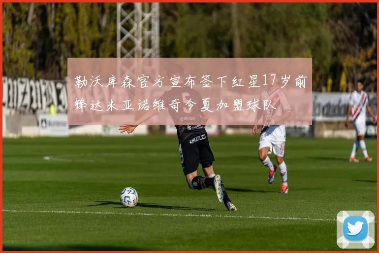勒沃库森官方宣布签下红星17岁前锋达米亚诺维奇今夏加盟球队