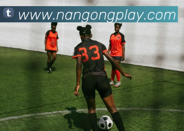 App Interface Preview